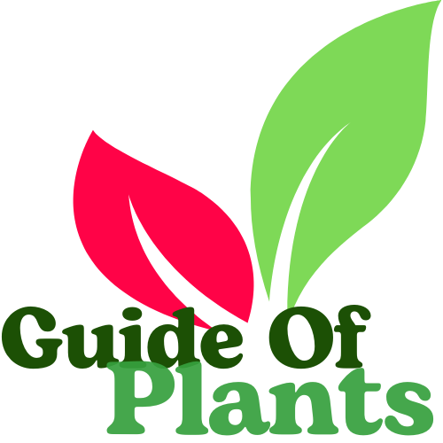 Guide of Plants