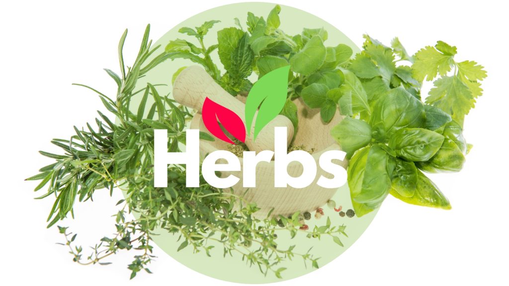 Herbal gardening