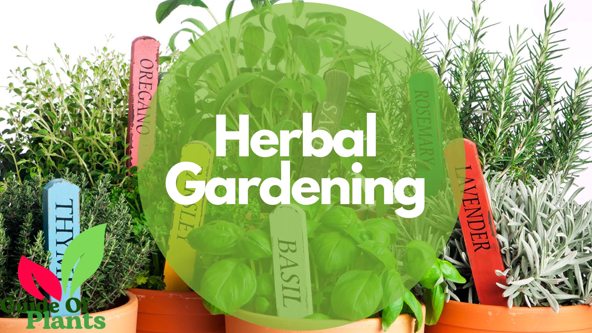 Herbal gardening